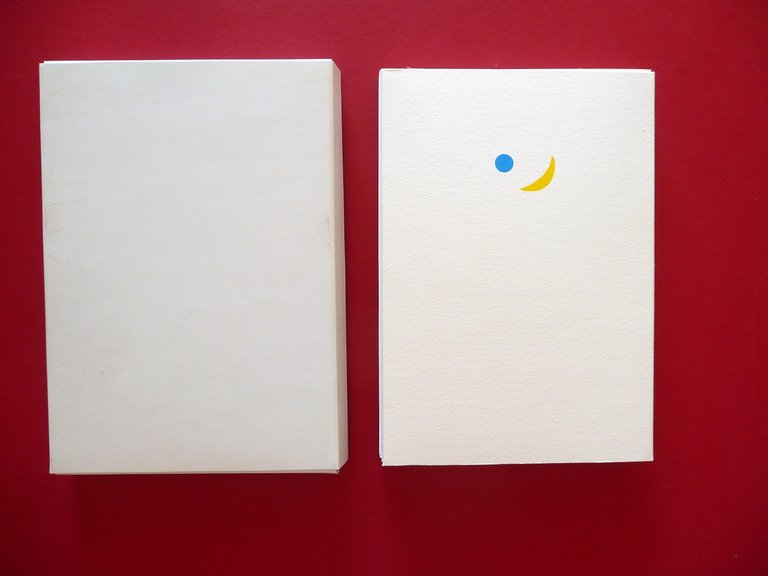 Vincenzo Fiorito Luna Park Libro Fisarmonica Silvio Zamorani 1989 Avanguardia