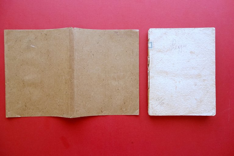 Vita del Venerabile Servo di Dio F. Pietro Gazzetti Eremita …