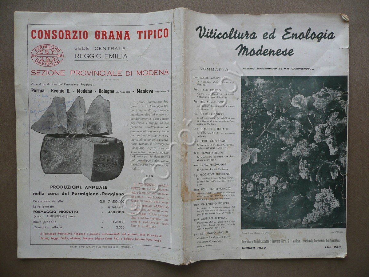 Viticoltura ed Enologia Modenese Numero Straordinario Il Campagnolo Giugno 1952