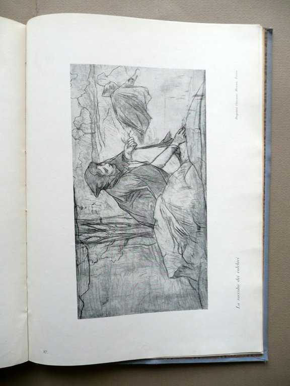 Vittorio Cavalleri Marziano Bernardi Edizioni L'Impronta Torino 1945 Arte