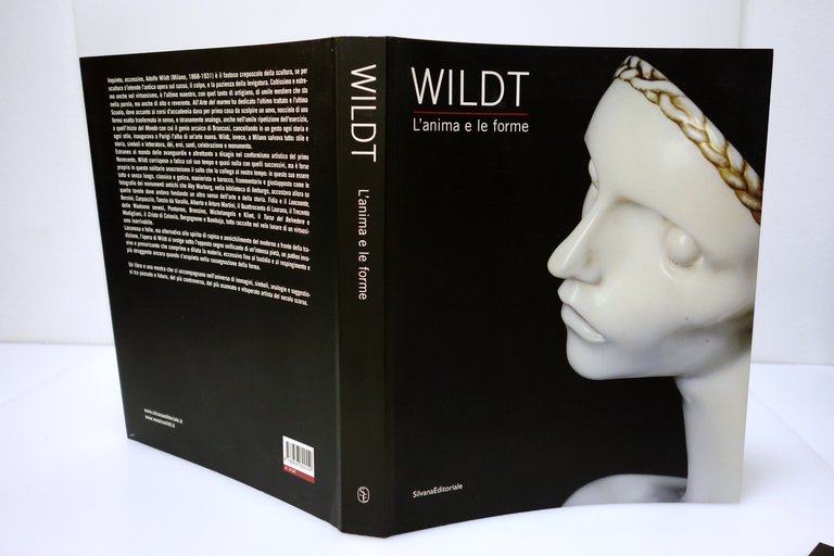 WILDT L'ANIMA E LE FORME FORLI' MAZZOCCA MOLA SILVANA EDITORIALE …