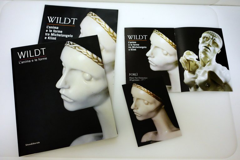 WILDT L'ANIMA E LE FORME FORLI' MAZZOCCA MOLA SILVANA EDITORIALE …