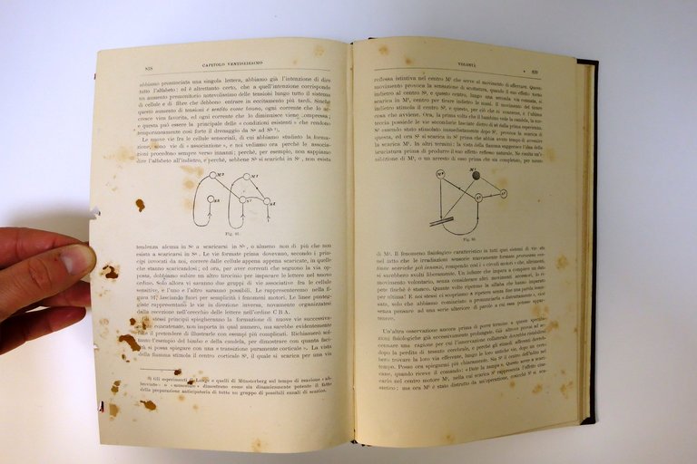 William James Principi di Psicologia 2° Edizione Milano 1905 Molto …