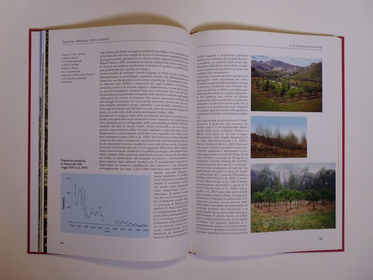 Zambonelli Iotti Appennino Modenese Editoriale Giorgio Mondadori 2005 tartufo