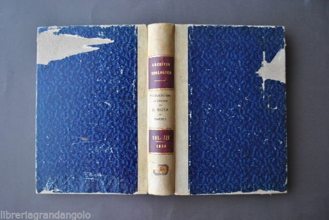 Zoologia Animali Argomenti vari Archivio Zoologico Italiano Monticelli 1930