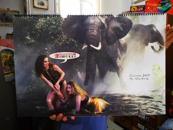 CALENDARIO PIRELLI 2009 DI PETER BEARD