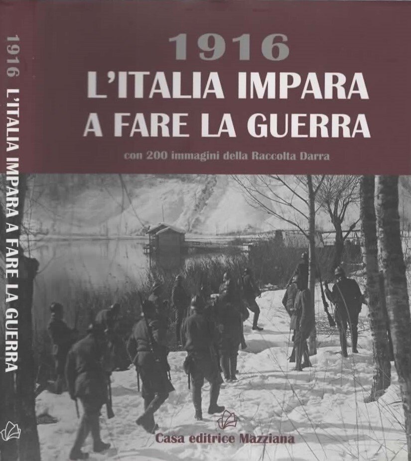 1916. L'Italia impara a fare la guerra