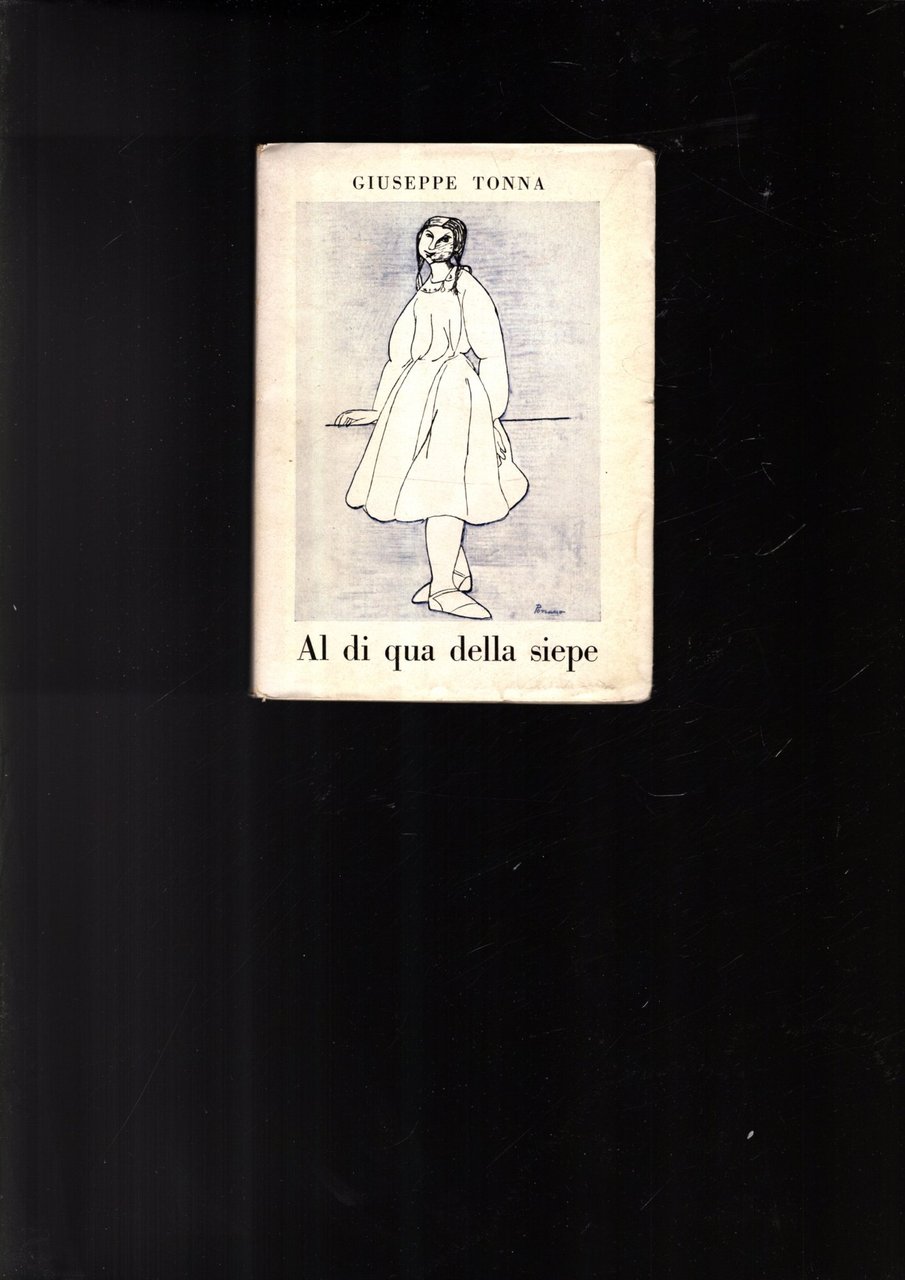 AL DI QUA DELLA SIEPE