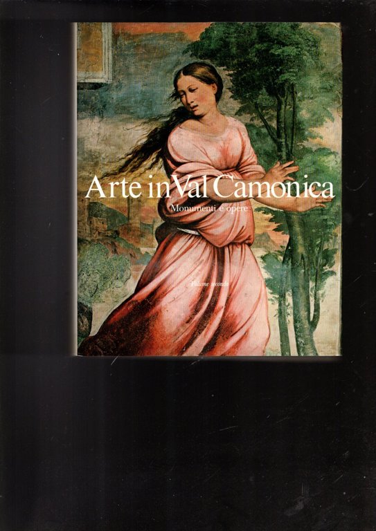Arte in Val Camonica 3 volumi in 4 tomi