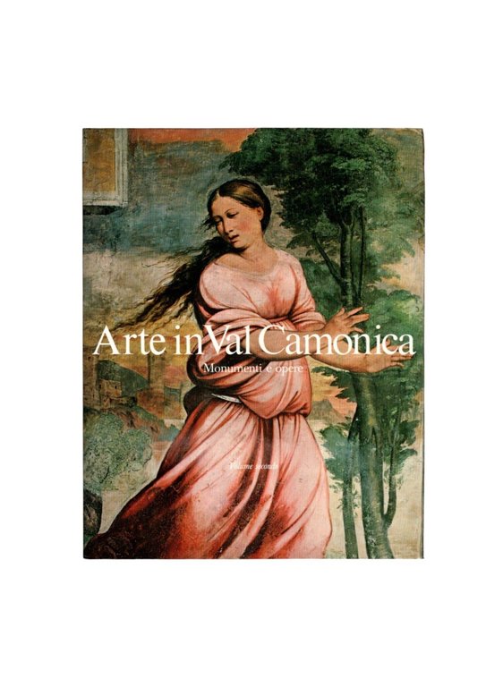 Arte in Val Camonica 3 volumi in 4 tomi