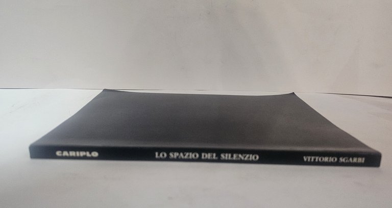 Arte segreta. Lo spazio del silenzio – Vittorio Sgarbi | … | Immagine Gallery 2