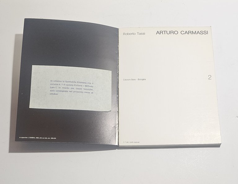 Arturo Carmassi catalogo Roberto Tassi Edizioni Bora arte contemporanea | Immagine Gallery 3