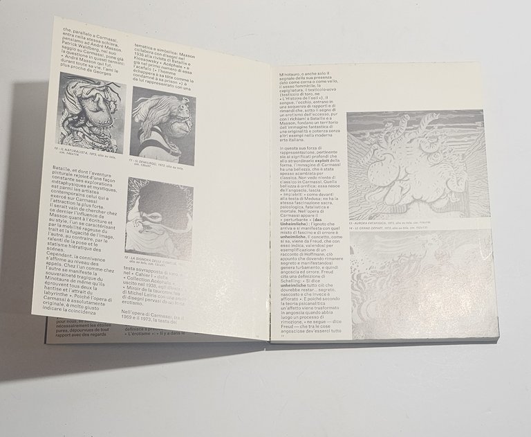 Arturo Carmassi catalogo Roberto Tassi Edizioni Bora arte contemporanea | Immagine Gallery 5