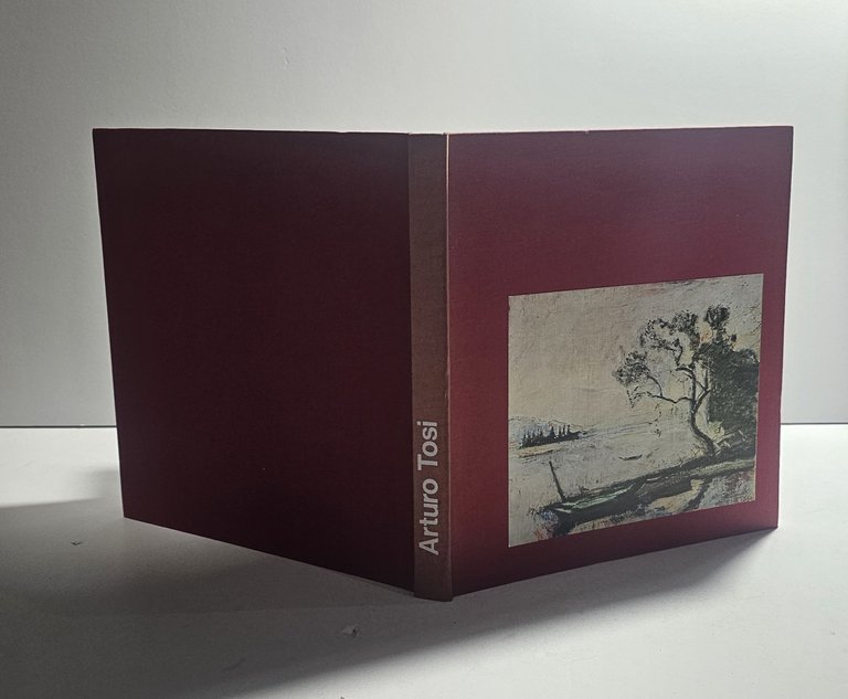 Arturo Tosi | Immagine Gallery 3