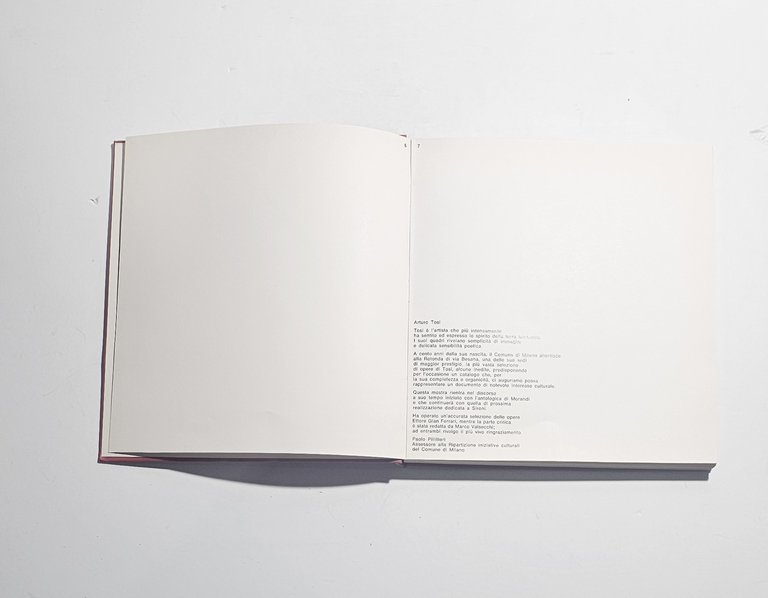 Arturo Tosi | Immagine Gallery 4