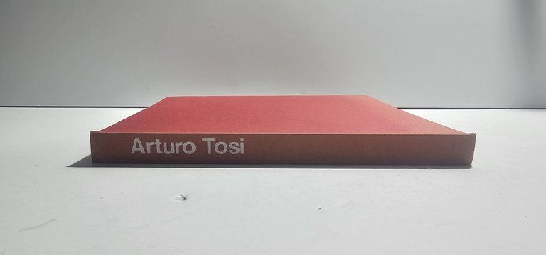 Arturo Tosi | Immagine Gallery 6