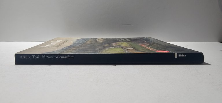 Arturo Tosi Natura ed Emozione Catalogo Arte Skira Pittura Italiana | Immagine Gallery 3