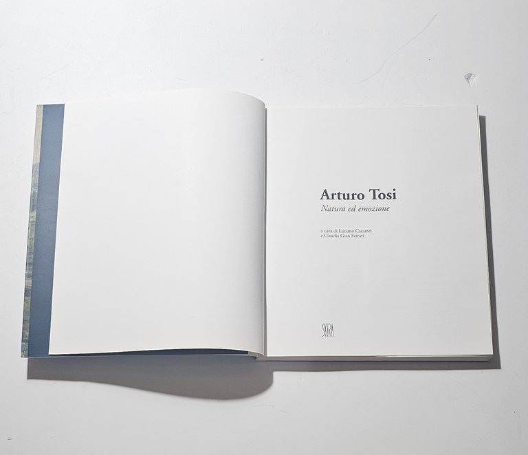 Arturo Tosi Natura ed Emozione Catalogo Arte Skira Pittura Italiana | Immagine Gallery 2
