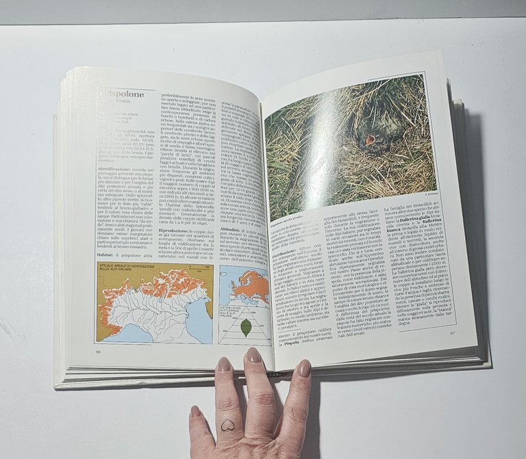 Atlante Degli Uccelli Delle Alpi Italiane Brichetti Ornitologia | Immagine Gallery 4