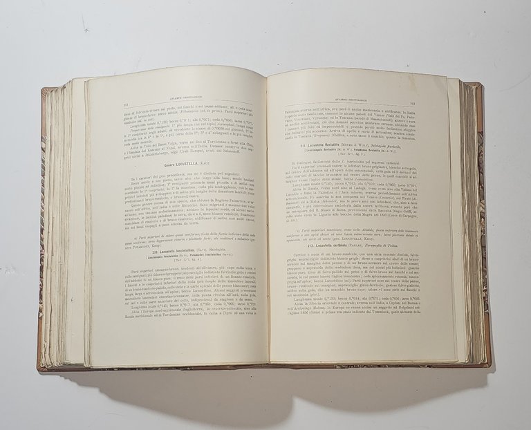 Atlante Ornitologico Uccelli Europei Arrigoni Degli Oddi Hoepli 1902 | Immagine Gallery 4