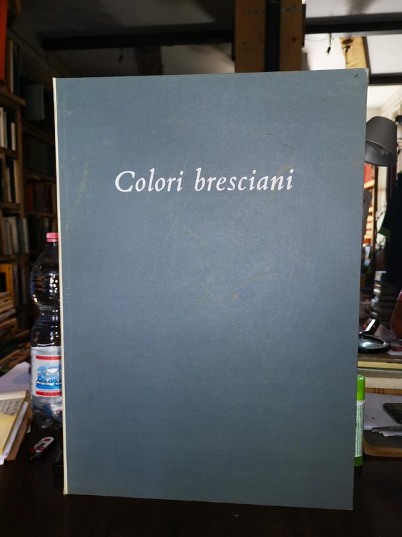 Borrani - Colori bresciani. 20 Acquerelli di Fausto Borrani