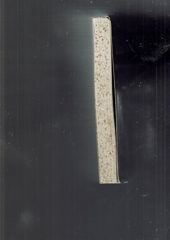 Brescia postromantica e Liberty 1880-1915