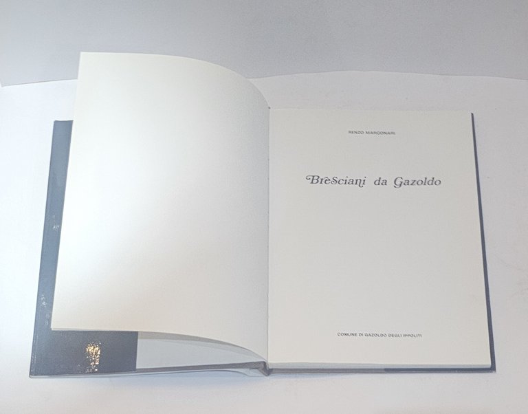 Bresciani da Gazoldo – Renzo Margonari | Arte italiana contemporanea | Immagine Gallery 4