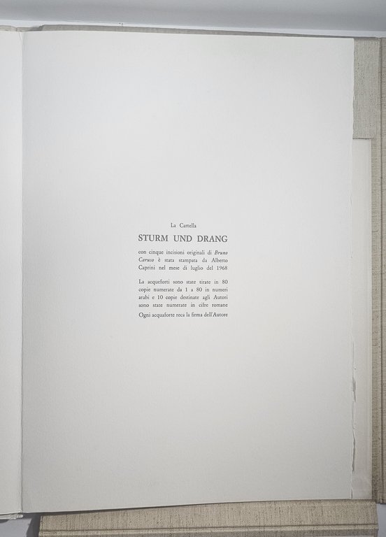 Bruno Caruso. Sturm Und Drang – Cartella con 5 acqueforti … | Immagine Gallery 2