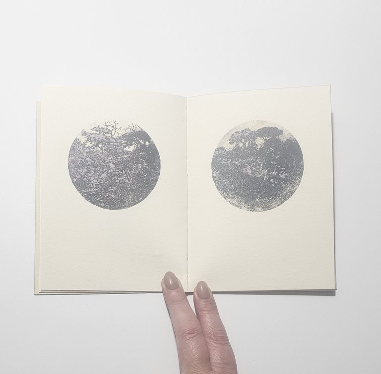 Carlo Mattioli Hortus conclusus Il Bulino arte libro raro grafica | Immagine Gallery 3