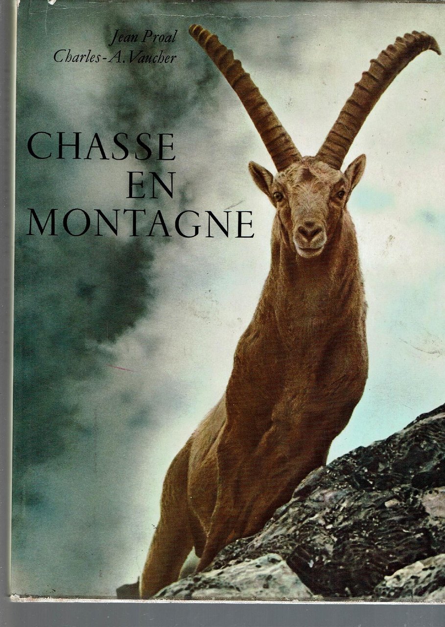 CHASSE EN MONTAGNE