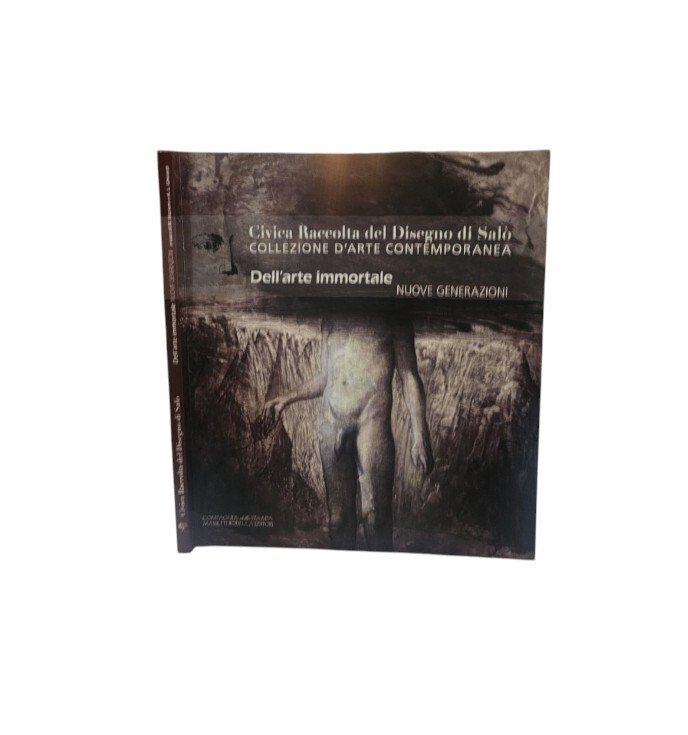 Civica raccolta del disegno di Salò. Collezione d'arte contemporanea. Nuove …