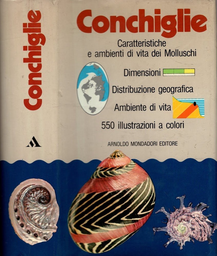 Conchiglie. Caratteristiche e ambienti di vita dei Molluschi