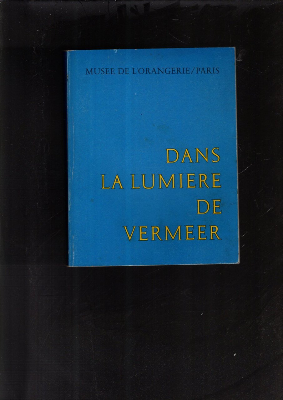 DANS LA LUMIERE DE VERMEER - CINQ SIECLES DE PEINTURE