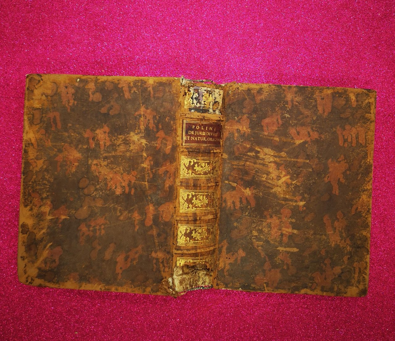 Caroli Polini - De Juris Divini Et Naturalis Origine Brixiae …