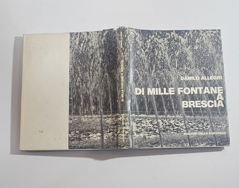 Di Mille Fontane a Brescia Danilo Allegri Fotografia Città Edizioni … | Immagine Gallery 2