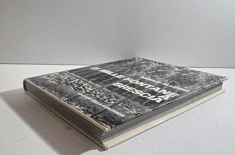 Di Mille Fontane a Brescia Danilo Allegri Fotografia Città Edizioni … | Immagine Gallery 4