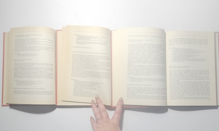 Dizionario dei Pittori Bresciani – Riccardo Lonati – 3 volumi | Immagine Gallery 5