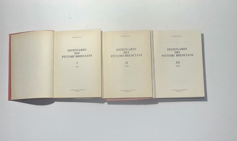 Dizionario dei Pittori Bresciani – Riccardo Lonati – 3 volumi | Immagine Gallery 4