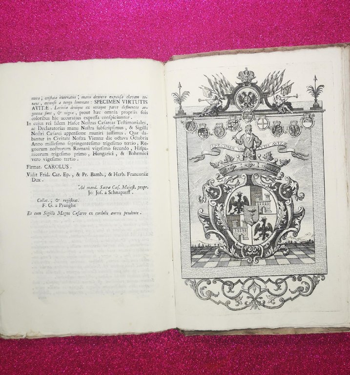 Documenti Comprovanti I Privilegi Le Prerogative E Ragioni Casa Stampa …