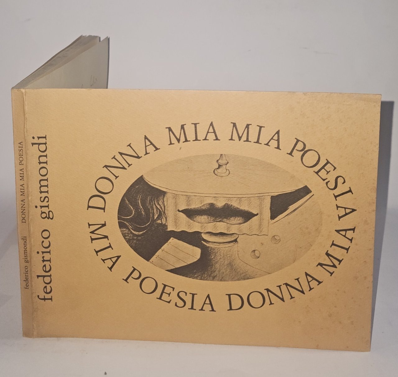 Donna mia mia poesia di Federico Gismondi (con dedica autografa) | Immagine principale