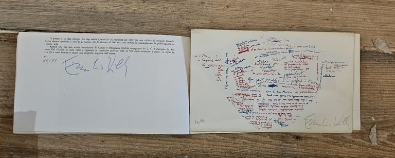 Emilio Villa: "La rage oblique – La rage oublie. Journal"