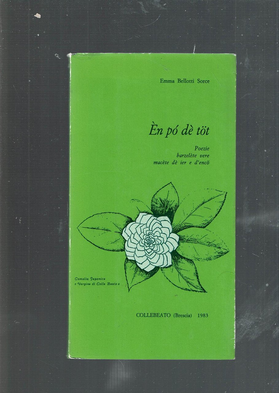 EN PO DE TOT - POEZIE BARZALETE VERE MACETE DE …