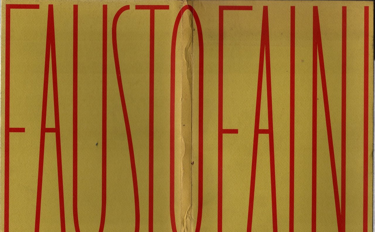 Fausto Faini - Marco Meneguzzo