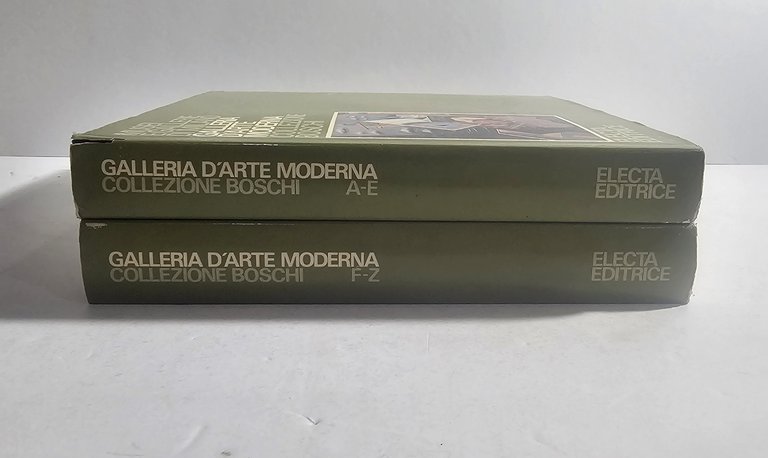 Galleria Arte Moderna Milano Collezione Boschi Electa 2 Volumi | Immagine Gallery 4