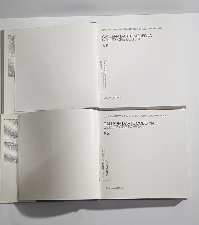Galleria Arte Moderna Milano Collezione Boschi Electa 2 Volumi | Immagine Gallery 5