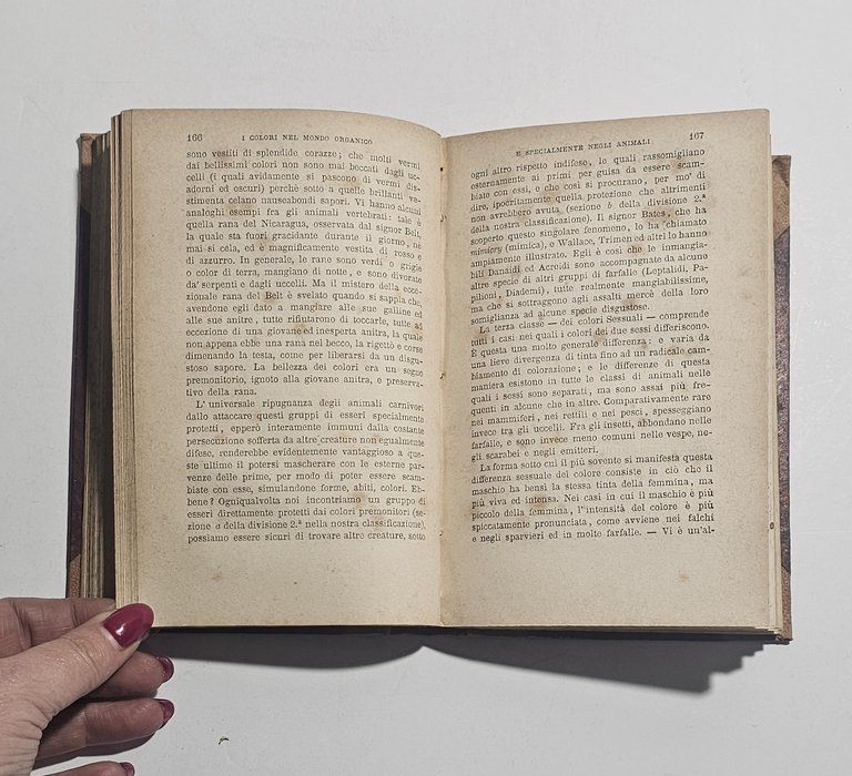 Gerolamo Boccardo – Novità della scienza – Milano, 1878 – … | Immagine Gallery 3