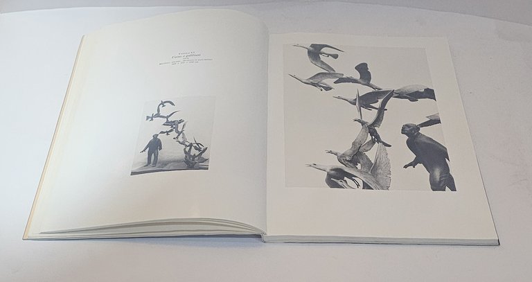 Giuliano Vangi – Catalogo d'arte | Umberto Allemandi &amp; C. | Immagine Gallery 4