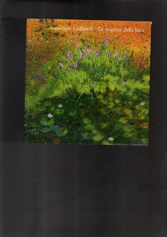 Giuseppe Gallizioli - le stagioni della luce** | Immagine Gallery 1