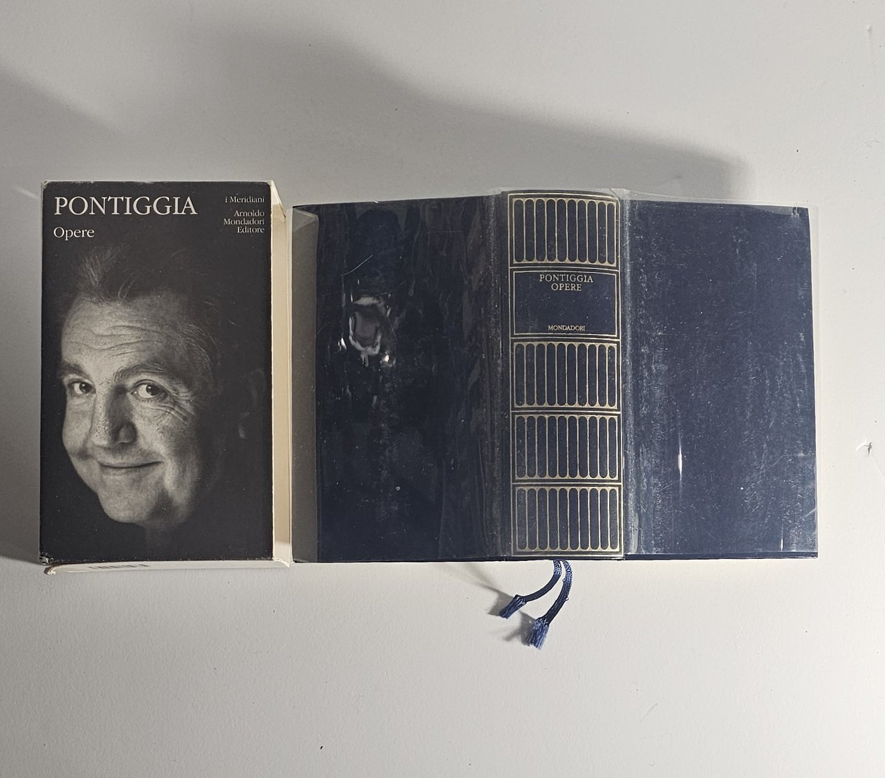 Giuseppe Pontiggia Opere I Meridiani Mondadori Classici | Immagine principale