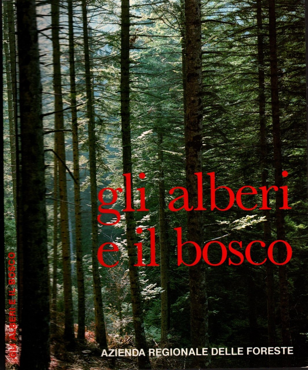 GLI ALBERI E IL BOSCO